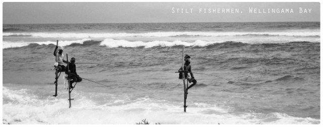 stilt fishermen wellingama bay