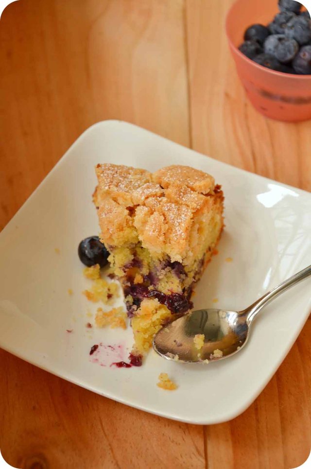 blueberry crumble cake 2